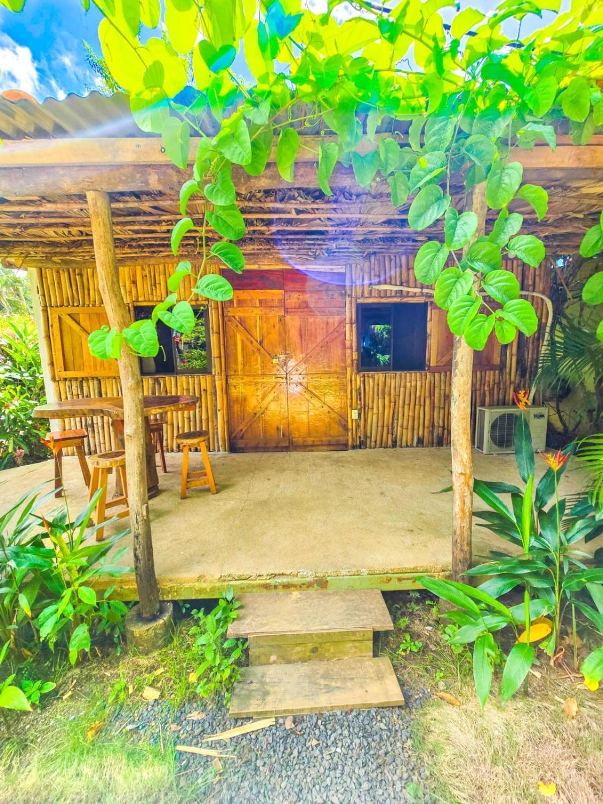 شقة Hospedaje Combi Dream Bird Playas del Coco المظهر الخارجي الصورة